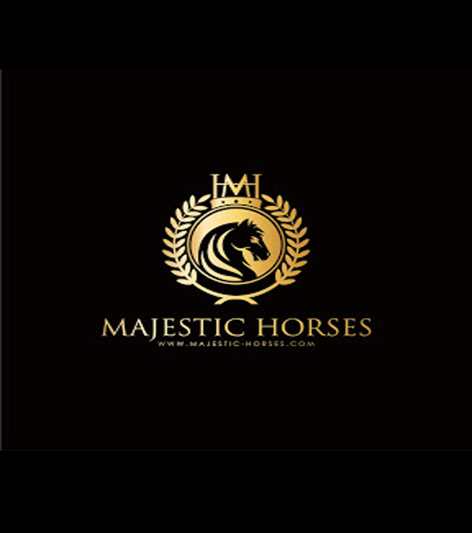 Horse for sale