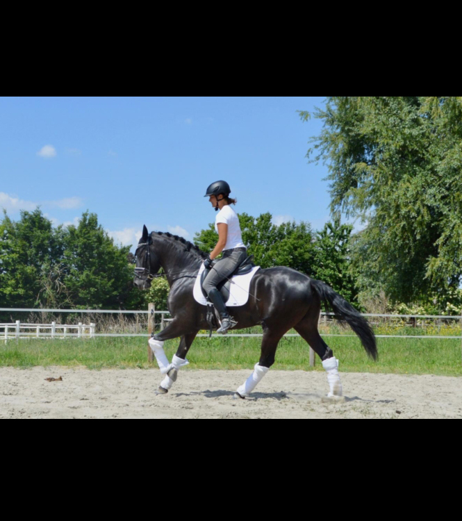 NEGRITO
